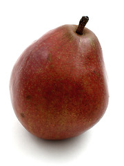 Image showing Pear