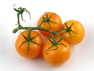 Image showing Orange tomatoes
