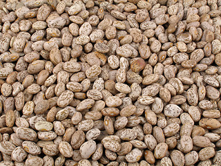 Image showing Pinto beans