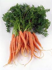 Image showing Carrots