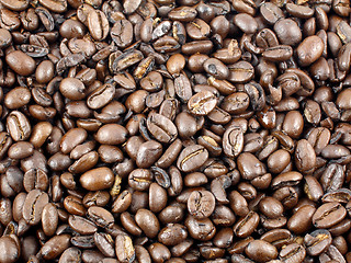 Image showing Coffee beans