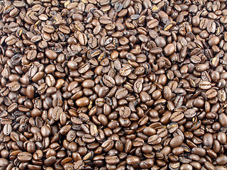 Image showing Coffee beans