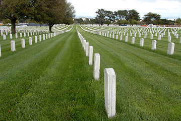 Image showing Military cemetery