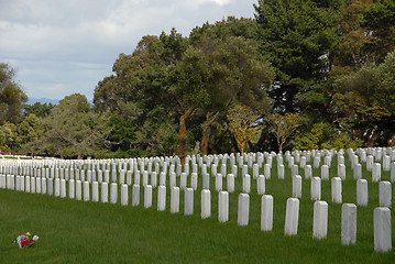 Image showing Military cemetery