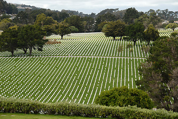 Image showing Military cemetery