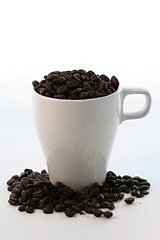 Image showing Coffee beans