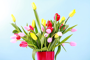 Image showing bunch of tulips