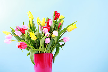 Image showing bunch of tulips