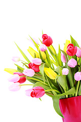 Image showing bunch of tulips