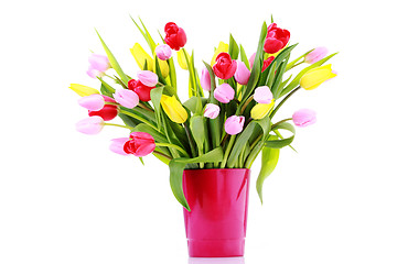 Image showing bunch of tulips