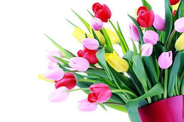 Image showing bunch of tulips