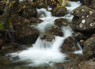 Image showing Scottish Water