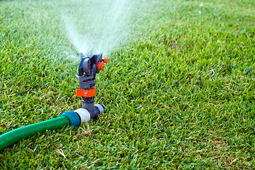 Image showing Lawn sprinkler
