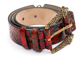 Image showing Red snake leather belt