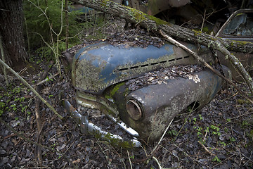 Image showing Abandoned car in wood