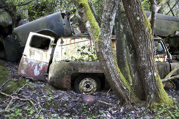 Image showing Van scrap in nature