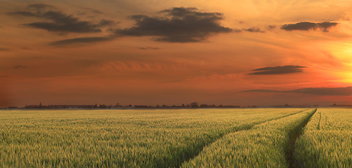 Image showing Rural sunset