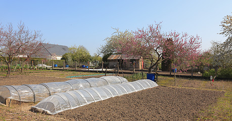 Image showing Spring garden