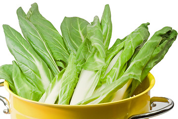 Image showing Chard leaves