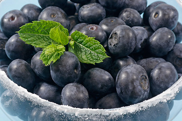 Image showing Blueberries