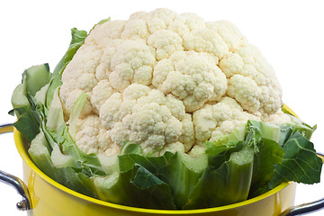 Image showing Cauliflower in a colander