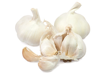 Image showing Garlic