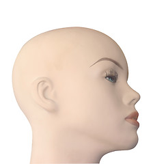 Image showing Bald Shop Mannequin Head 