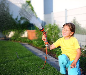 Image showing Watering