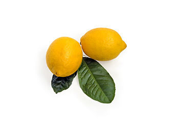 Image showing Lemons