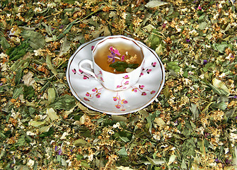 Image showing Healing Tea