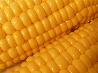 Image showing corn