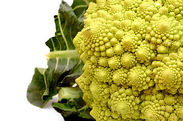 Image showing Vractal romanesco cabbage