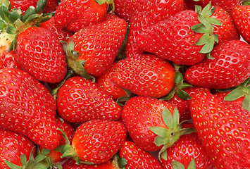 Image showing Strawberry