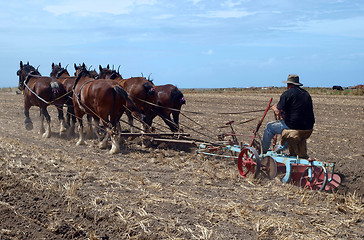 Image showing The Oldtimer