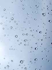 Image showing Rain droplets