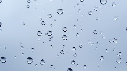 Image showing Rain droplets