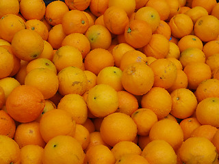 Image showing Oranges