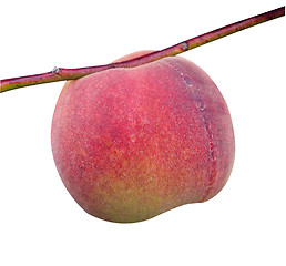 Image showing Ripe Peach
