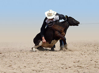 Image showing Cowboy about to tie a Calf with a piggin' string