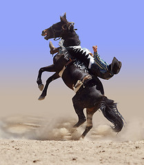 Image showing Bucking Rodeo Horse with Rider
