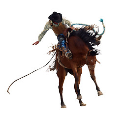 Image showing Bucking Rodeo Horse 