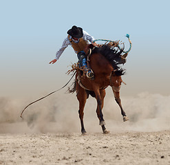 Image showing Bucking Rodeo Horse 