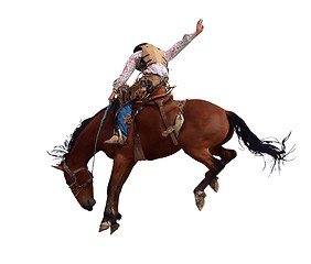Image showing Bucking Rodeo Horse 