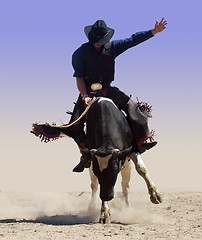 Image showing Bull Rider