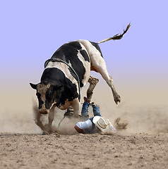 Image showing Cowboy Bites the Dust