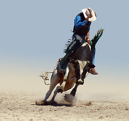 Image showing Cowboy Riding a Fresian Bull 