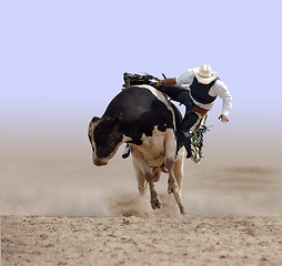 Image showing Cowboy Falling off a Bull