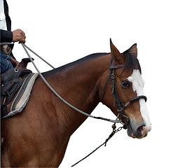 Image showing The Cowboy's Hand