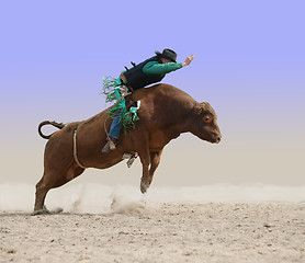 Image showing Cowboy on a Red Bull