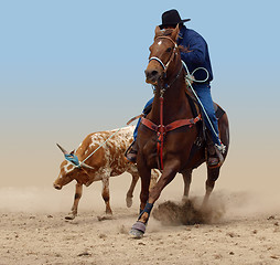 Image showing Cowboy Successfully Roping a Steer 